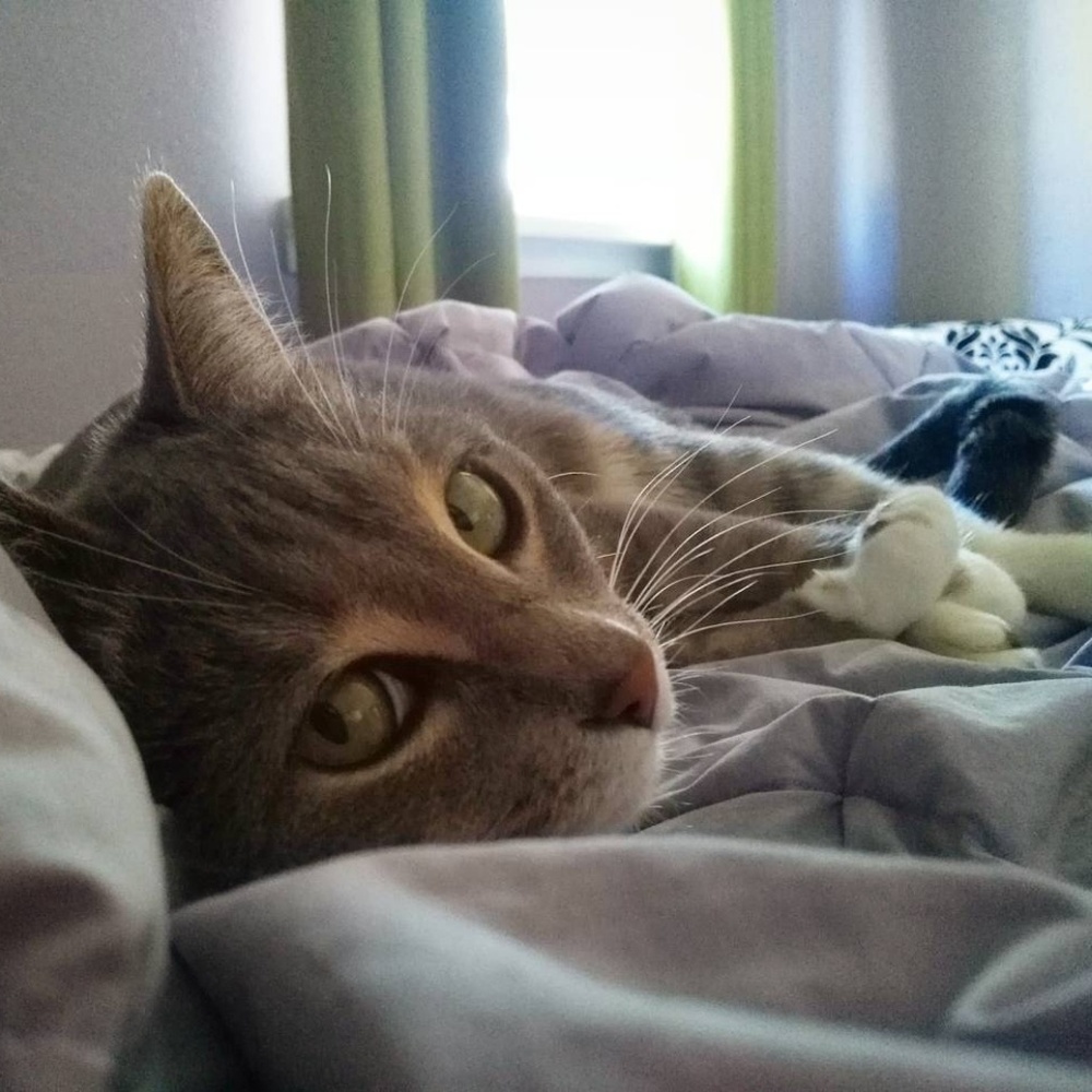 Meet your Posher, Hayley